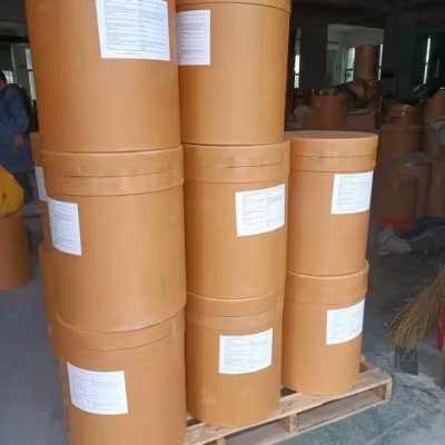 Suplemento nutricional esportivo de marca própria OEM Instat Vegan Bcaa em pó 2: 1: 1