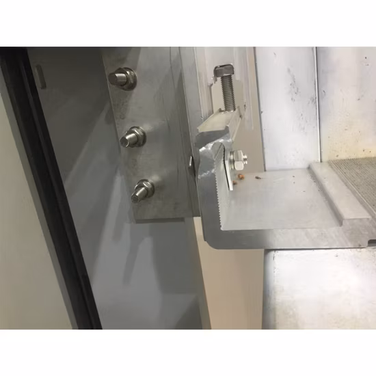 Parede celular de Saccharomyces Cerevisiae de aditivos alimentares naturais de alta qualidade