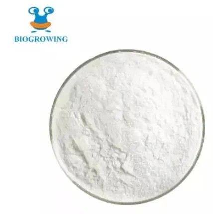 A fábrica vende pó probiótico OEM/ODM Bifidobacterium Lactis